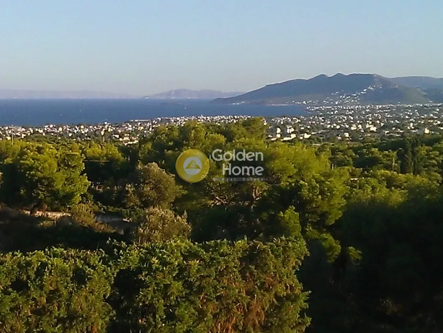 Μονοκατοικία 360τ.μ.  - 4