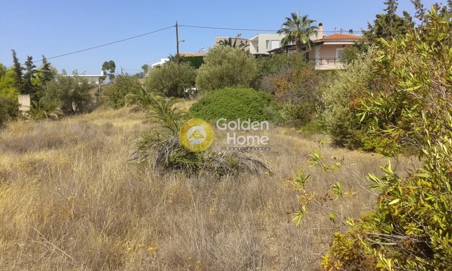 Detached house 500m²  - 5