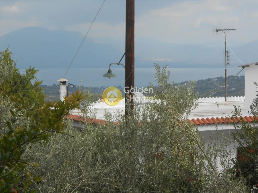 Μονοκατοικία 390τ.μ.  - 3