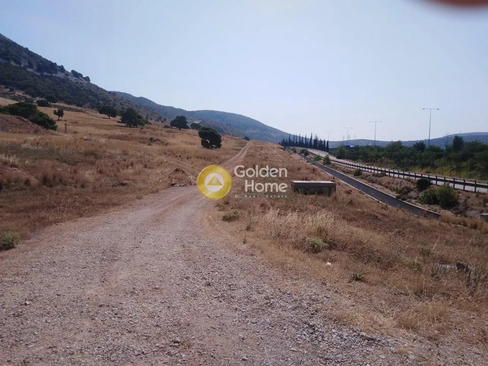 Land Parcel 20000m²  - 2