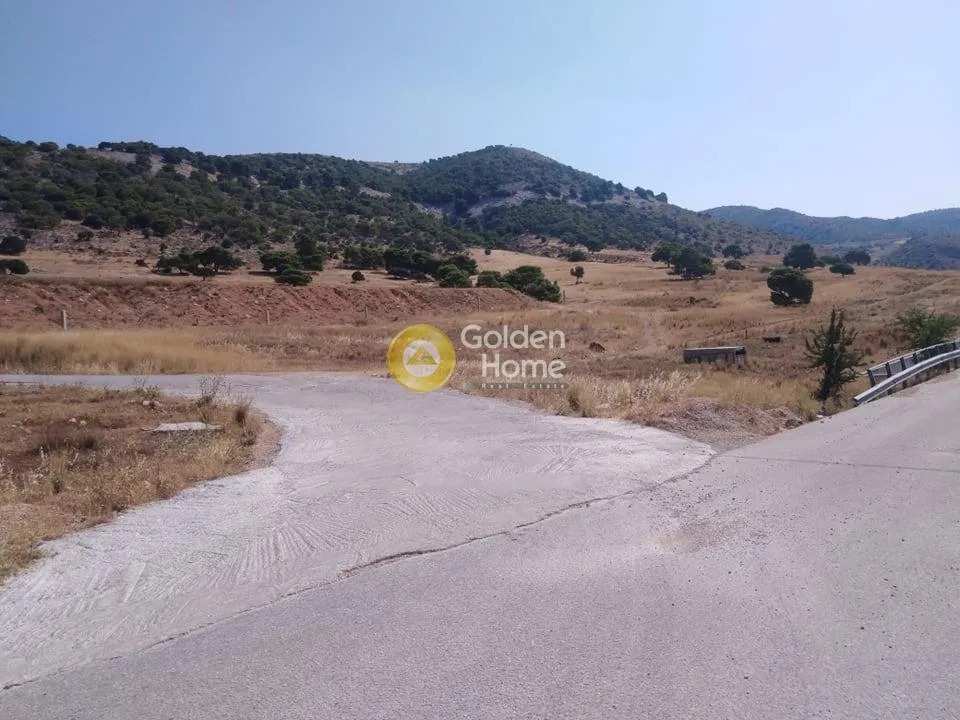 Land Parcel 20000m²  - 4