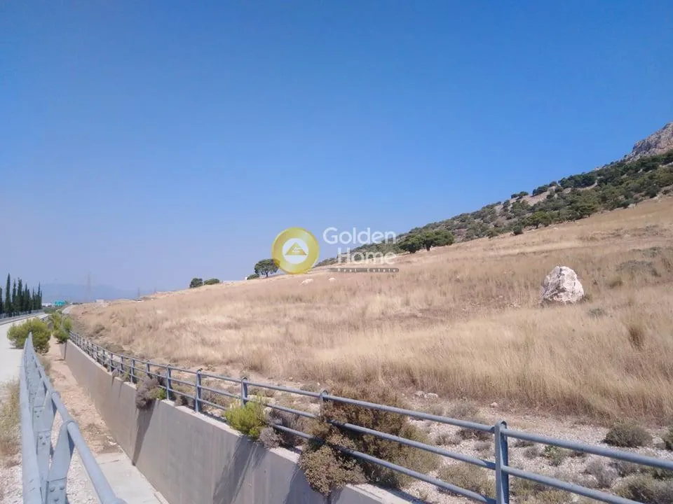 Land Parcel 20000m²  - 5