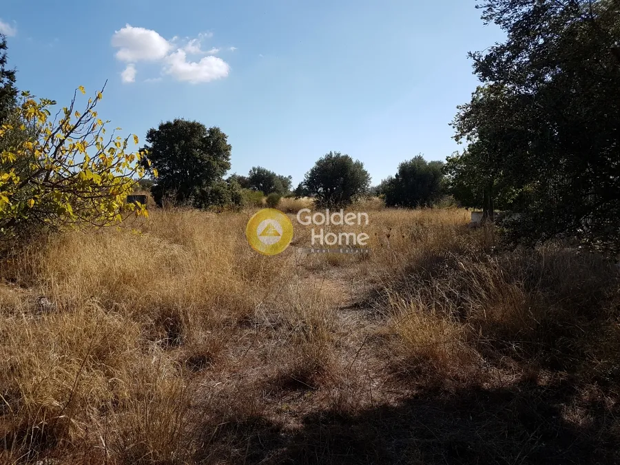 Other .. 1706m²  - 2