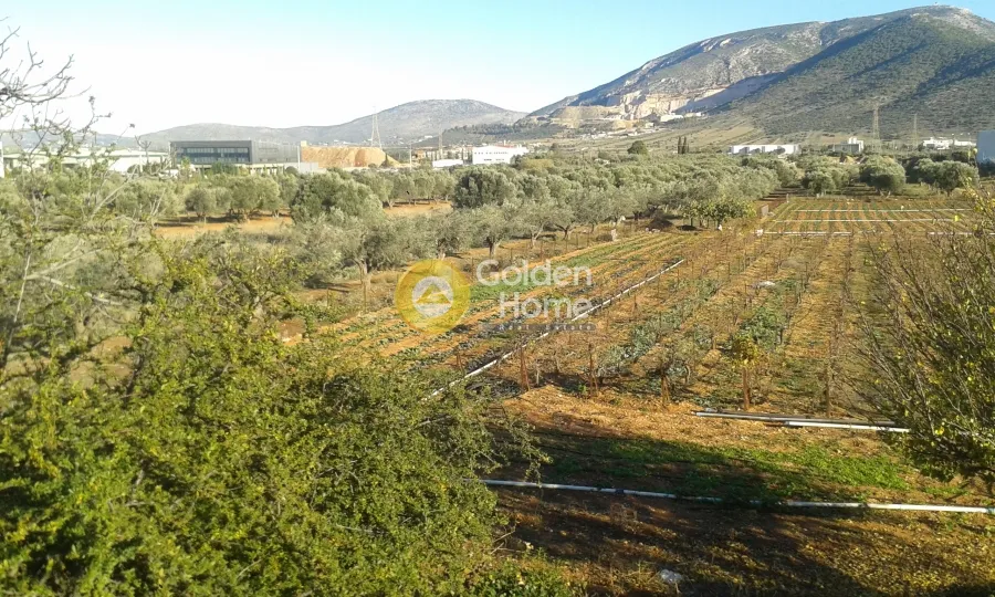 Μονοκατοικία 135τ.μ.  - 5