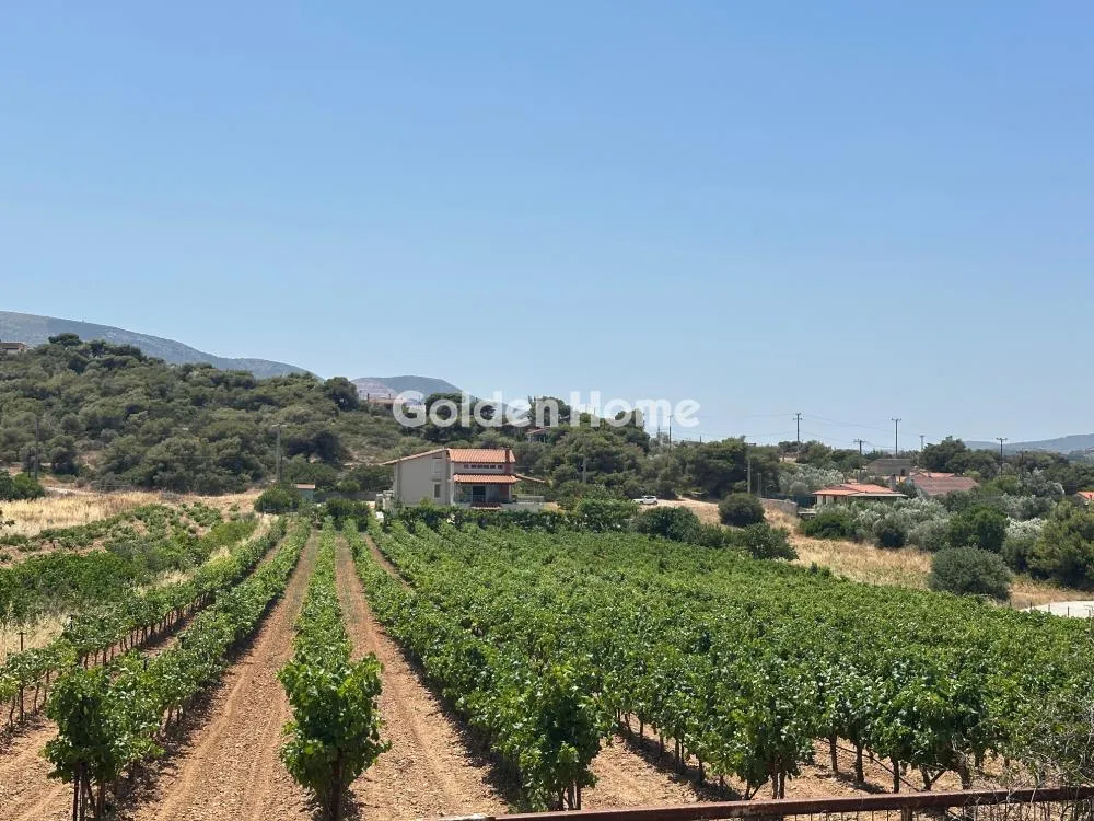 Άλλο..  370τ.μ.  - 2
