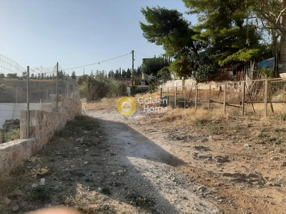 Αγροτεμάχιο 200τ.μ.  - 4