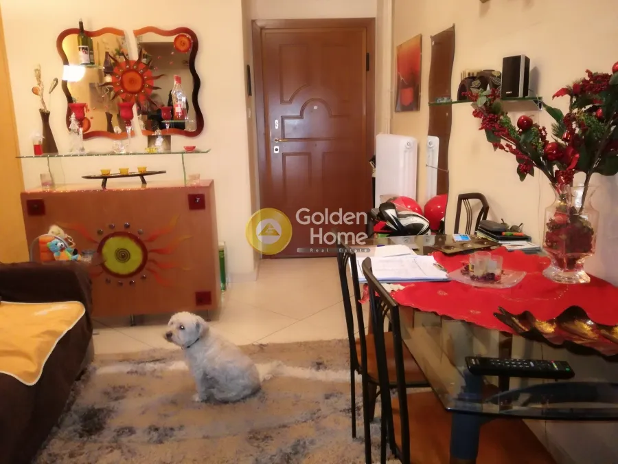 Apartment 91m²  - 3
