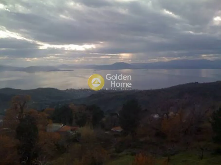 Other .. 270m²  - 4
