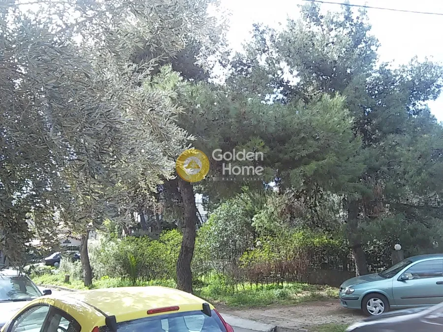 Μονοκατοικία 250τ.μ.  - 5