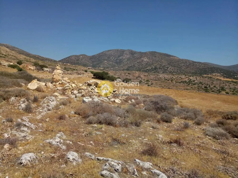 Αγροτεμάχιο 2100τ.μ.  - 2