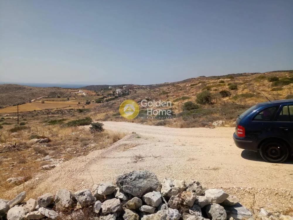 Αγροτεμάχιο 2100τ.μ.  - 4