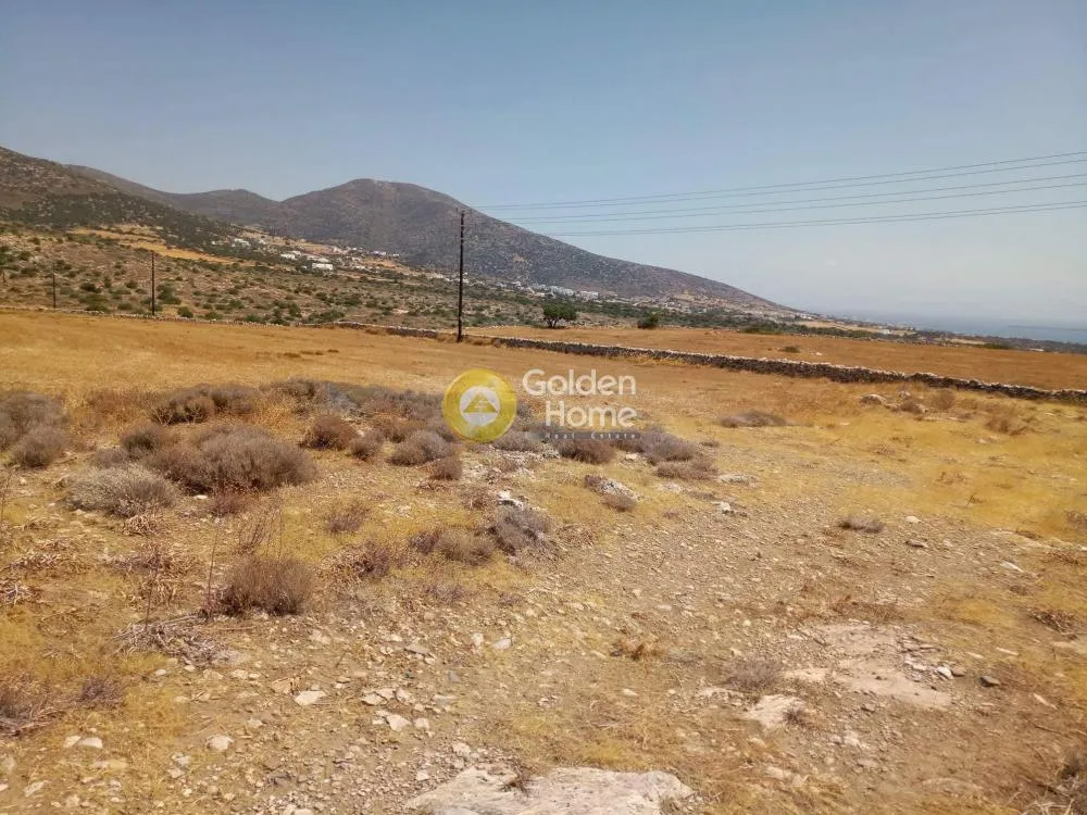 Αγροτεμάχιο 2100τ.μ.  - 5