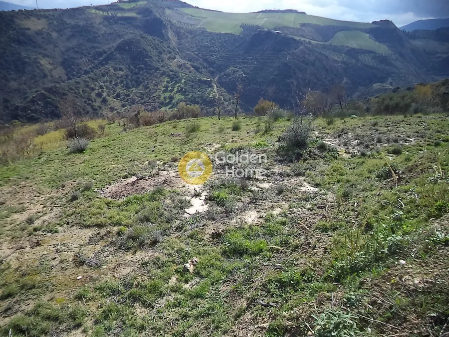 Αγροτεμάχιο 7500τ.μ.  - 2