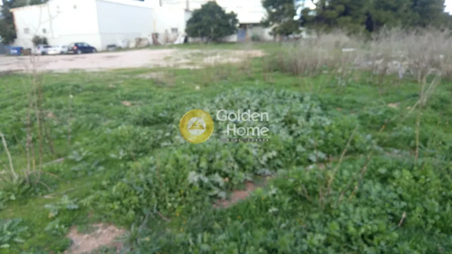 Αγροτεμάχιο 50941τ.μ.  - 3