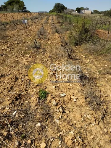 Land Parcel 766m²  - 2