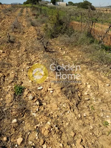 Land Parcel 766m²  - 3