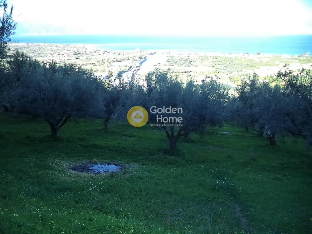 Αγροτεμάχιο 6000τ.μ.  - 3