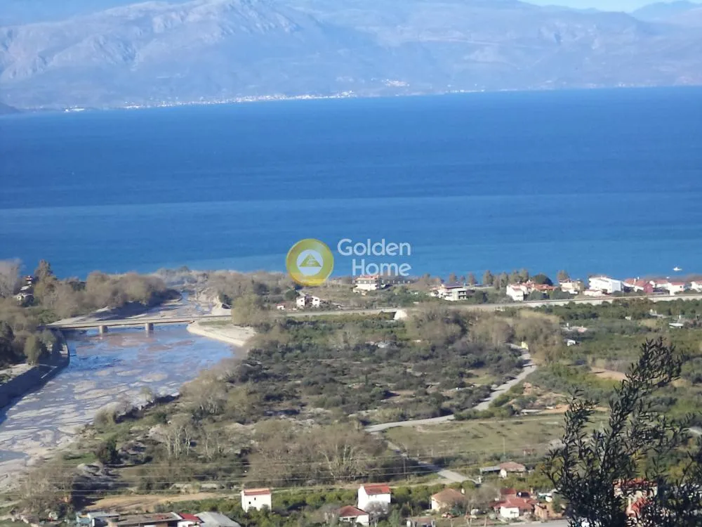 Αγροτεμάχιο 6000τ.μ.  - 4