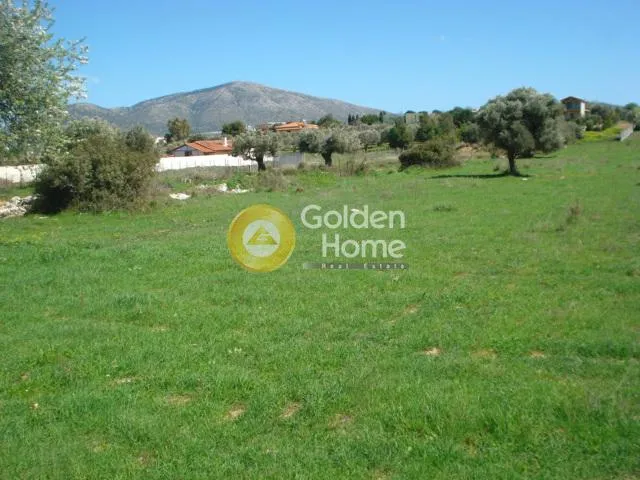 Αγροτεμάχιο 9200τ.μ.  - 2