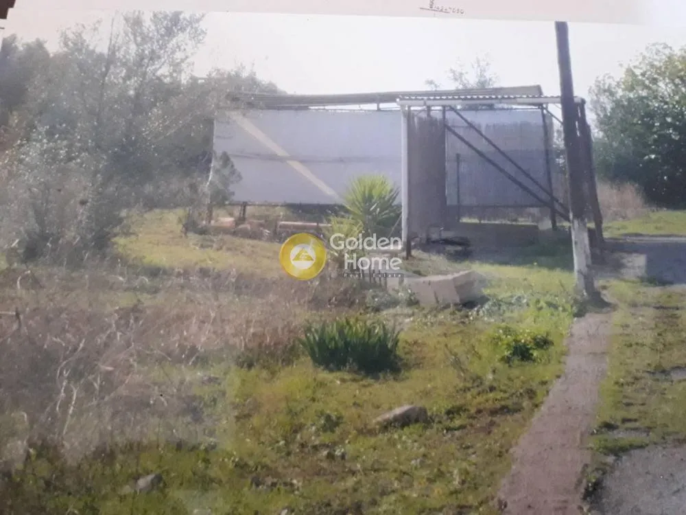 Land Parcel 3000m²  - 2