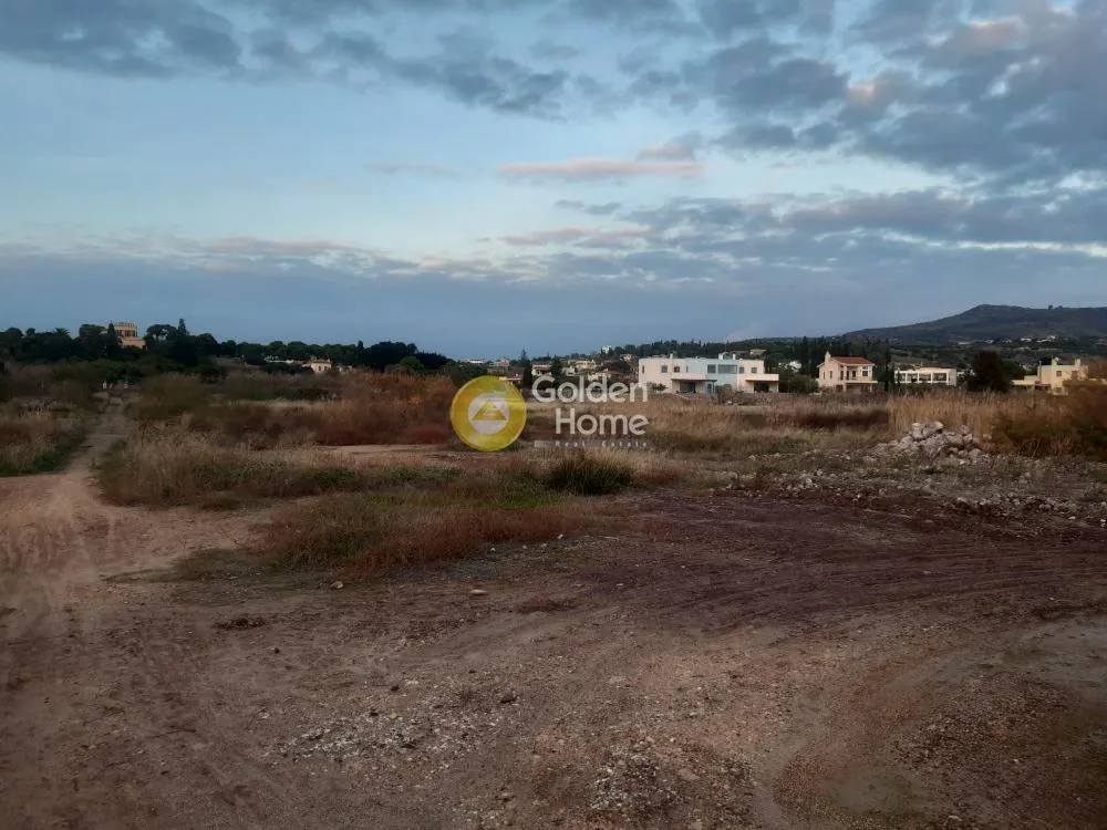 Οικόπεδο 16325τ.μ.  - 5