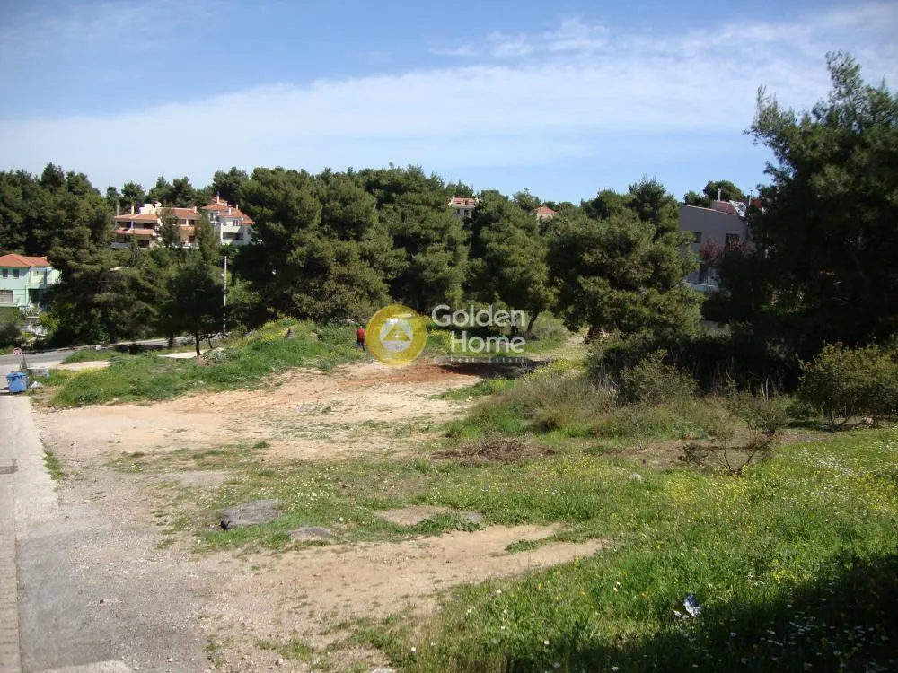 Άλλο.. 3900τ.μ.  - 2