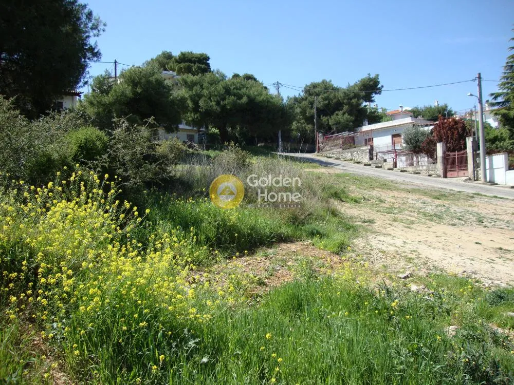 Άλλο.. 3900τ.μ.  - 3