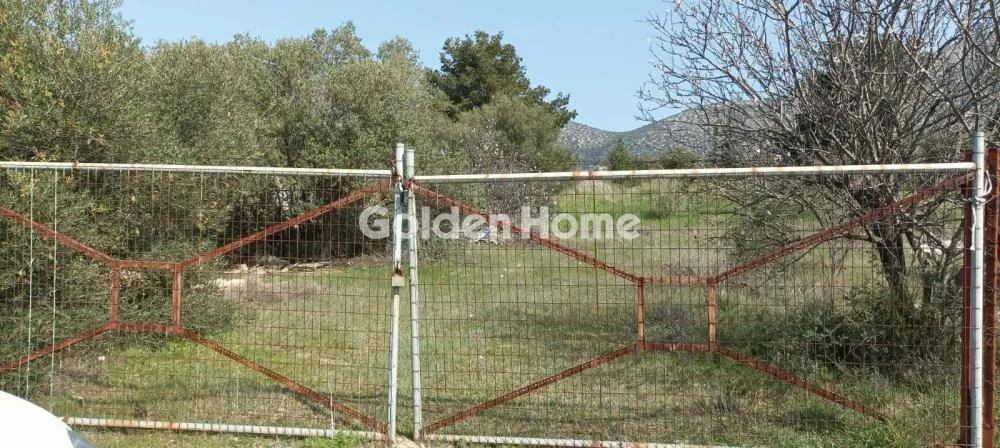 Αγροτεμάχιο 2750τ.μ.  - 2