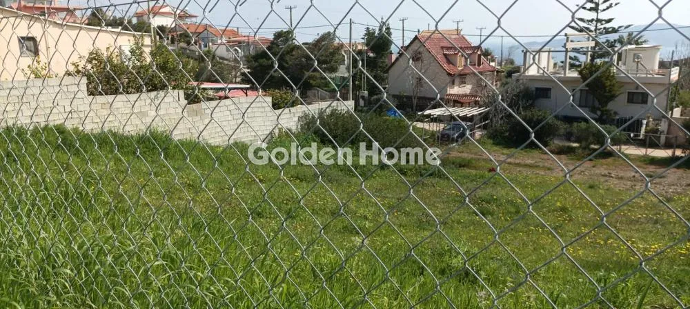 Αγροτεμάχιο 2750τ.μ.  - 3