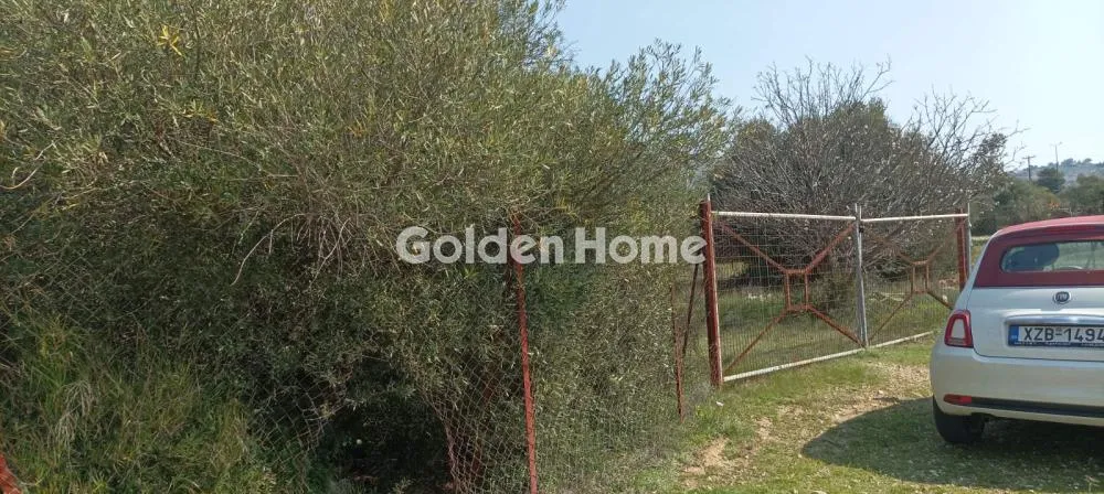 Αγροτεμάχιο 2750τ.μ.  - 4