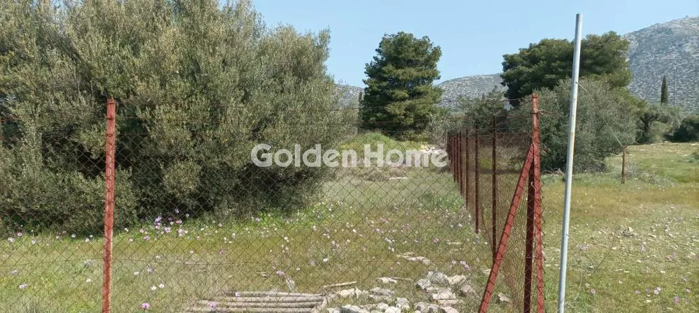 Αγροτεμάχιο 2750τ.μ.  - 5