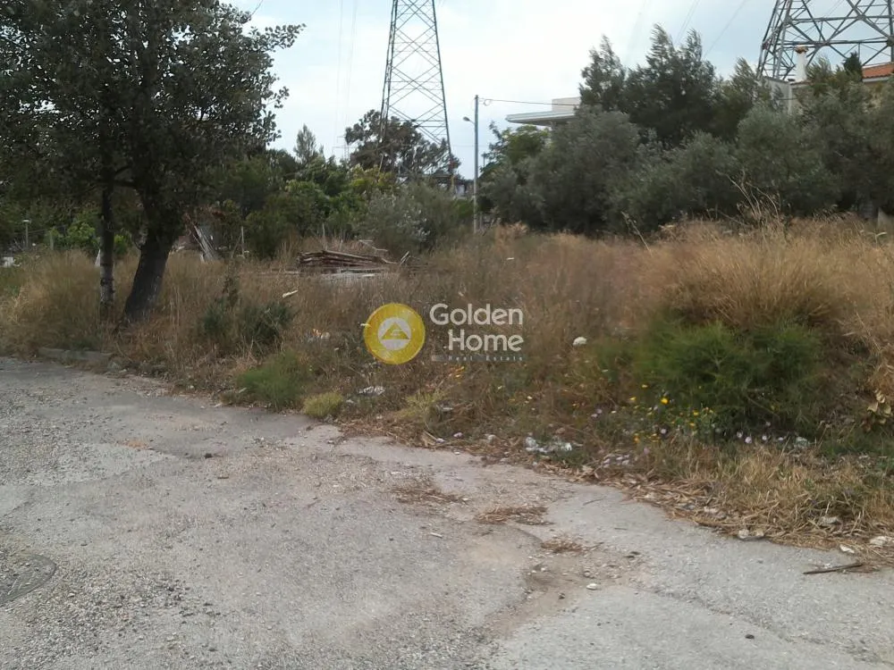 Άλλο.. 296τ.μ.  - 2