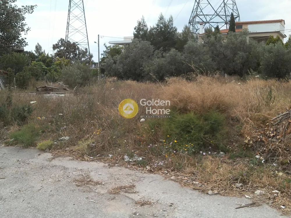 Άλλο.. 296τ.μ.  - 3