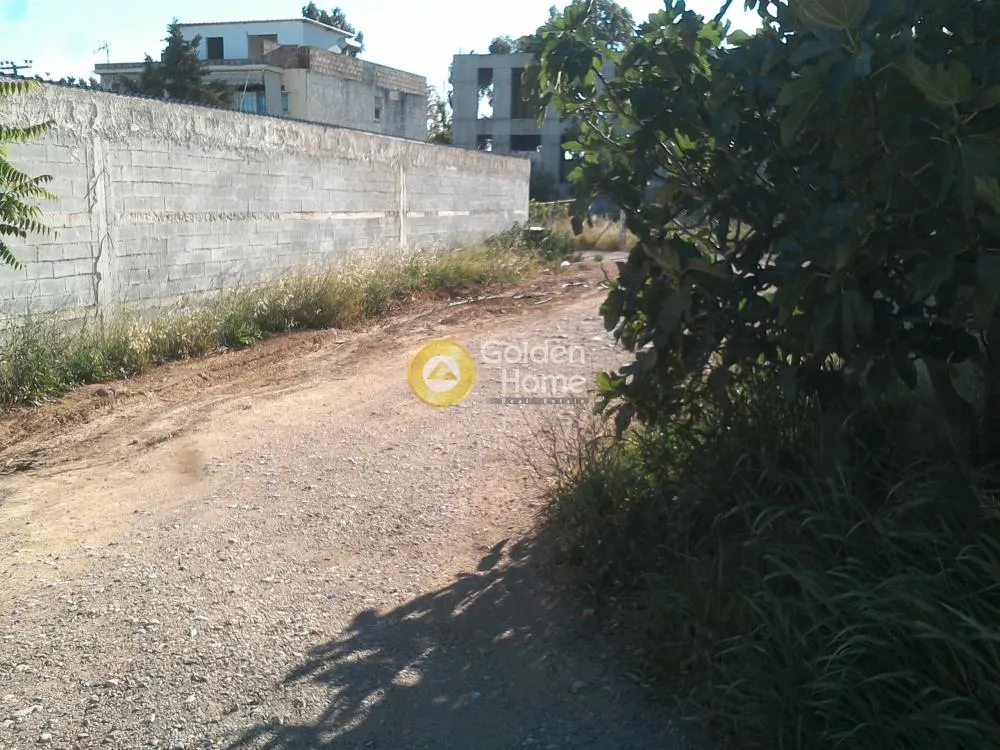 Αγροτεμάχιο 230τ.μ.  - 2