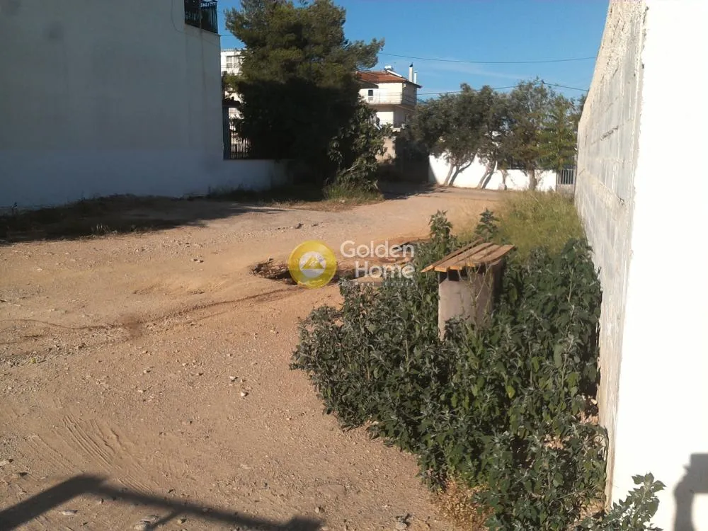 Αγροτεμάχιο 230τ.μ.  - 3