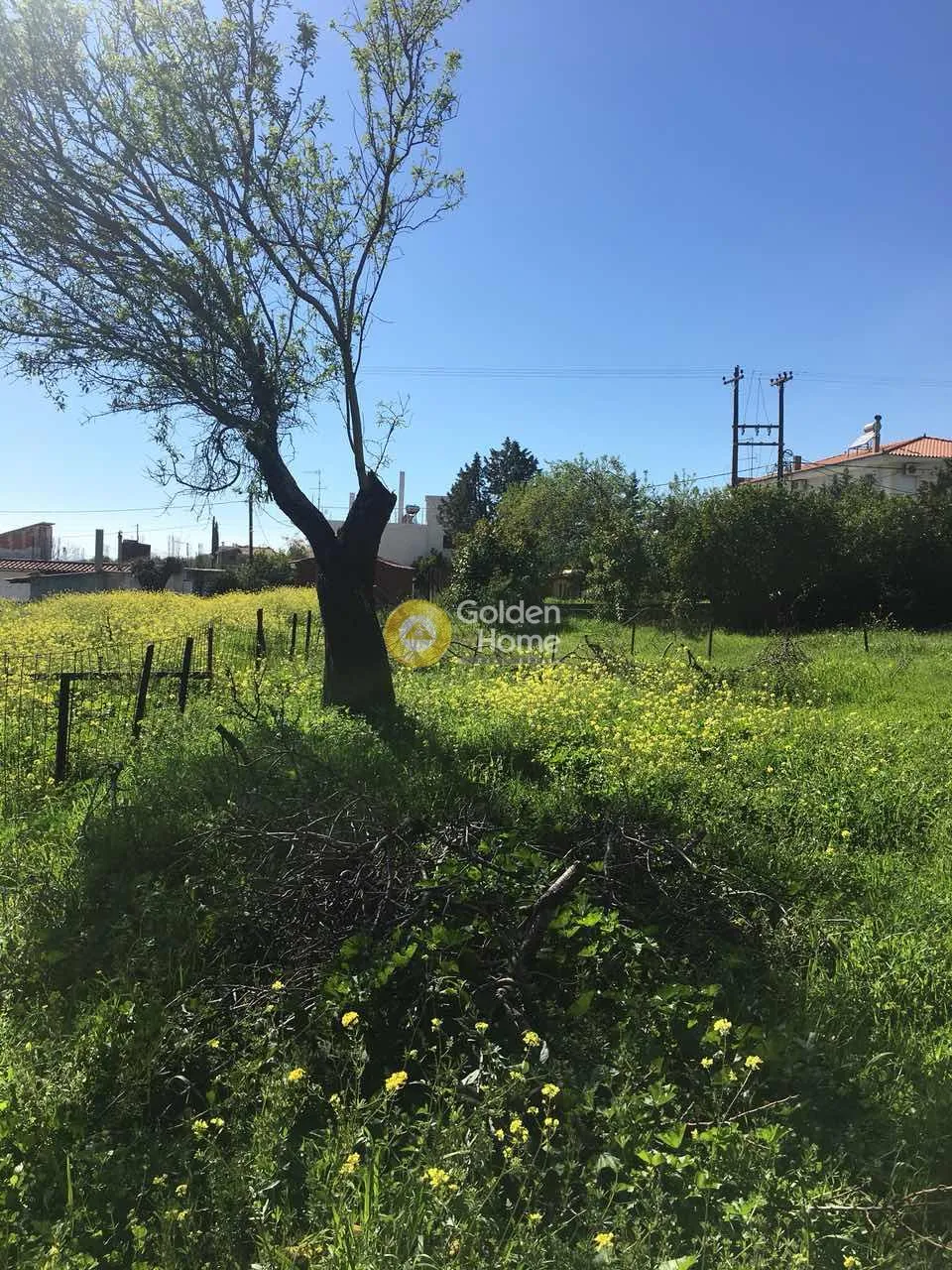 Detached house 259m²  - 4