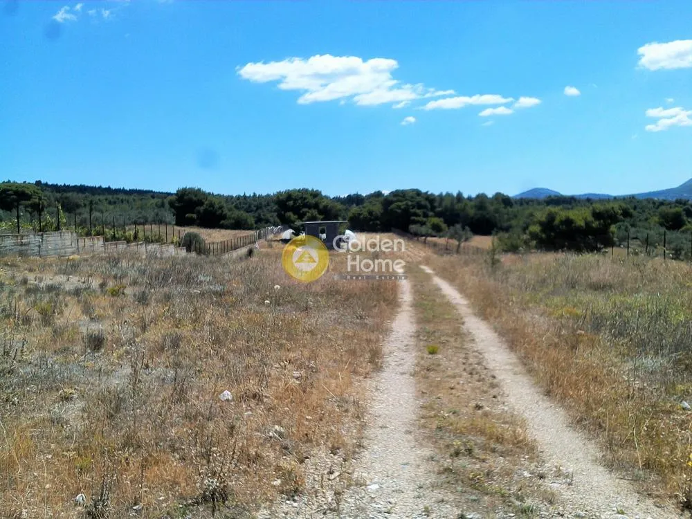 Land Parcel 5000m²  - 2