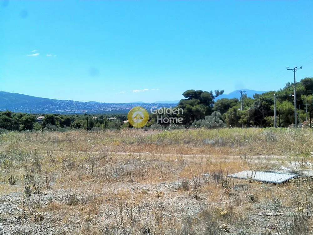 Land Parcel 5000m²  - 3