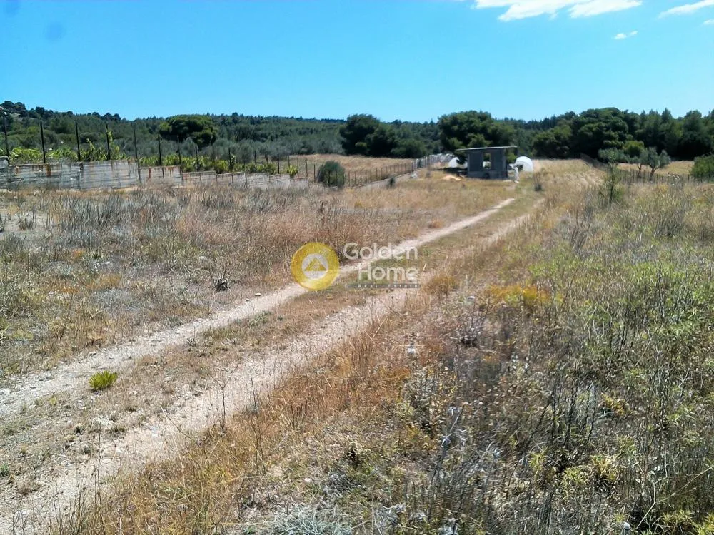 Land Parcel 5000m²  - 4