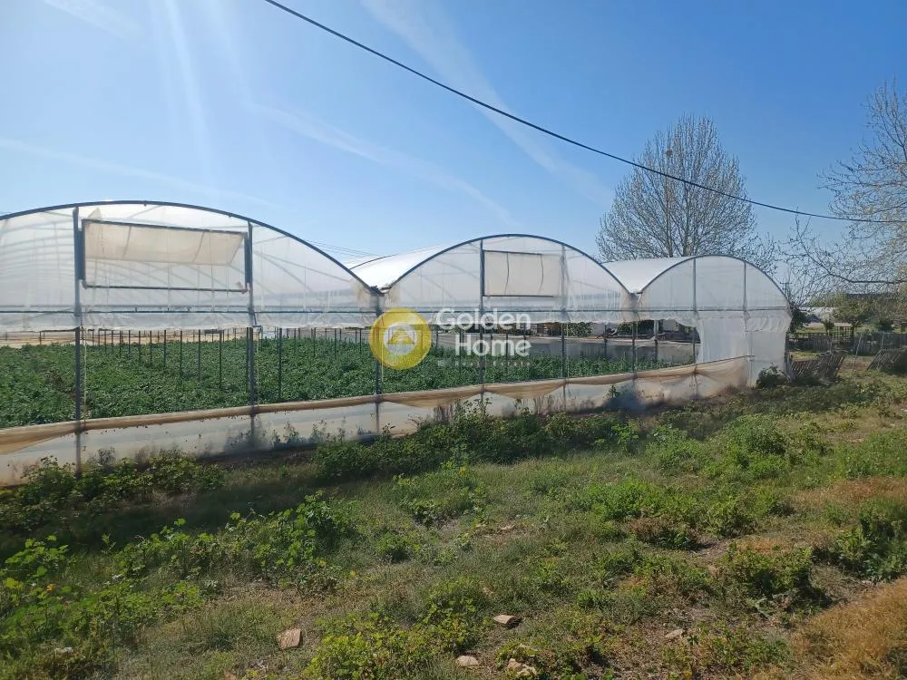 Αγροτεμάχιο 480000τ.μ.  - 4