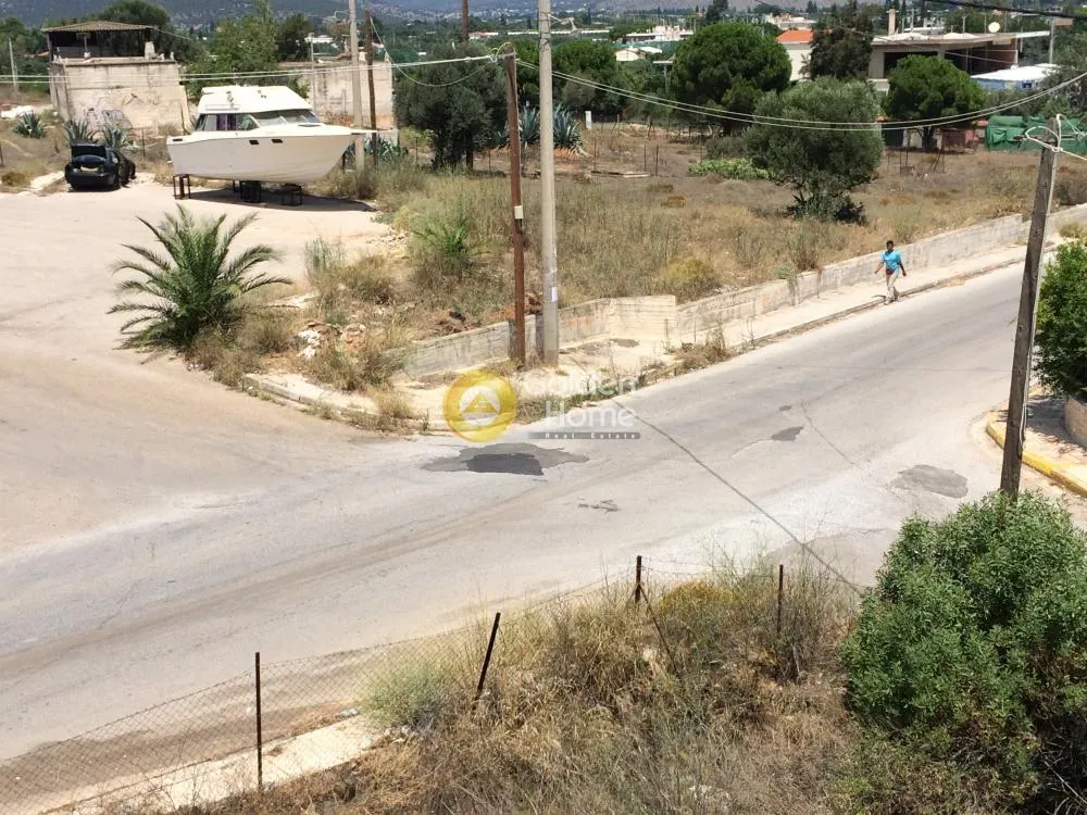 Other ..  335m²  - 4
