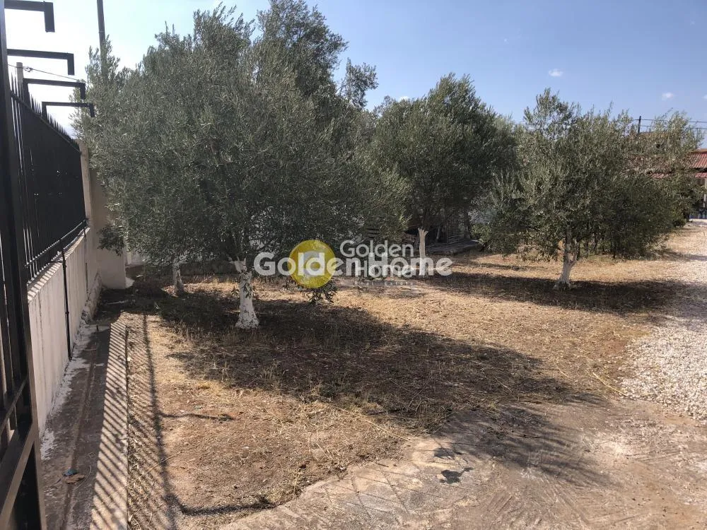 Μονοκατοικία 72τ.μ.  - 5