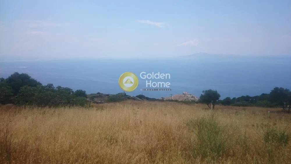 Αγροτεμάχιο 16000τ.μ.  - 2