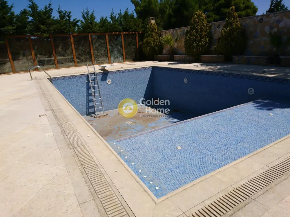 Detached house 463m²  - 4