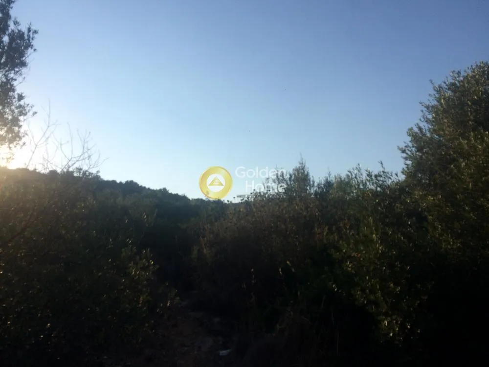 Οικόπεδο 20590τ.μ.  - 2