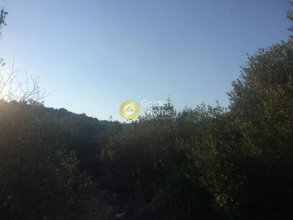 Οικόπεδο 20590τ.μ.  - 3