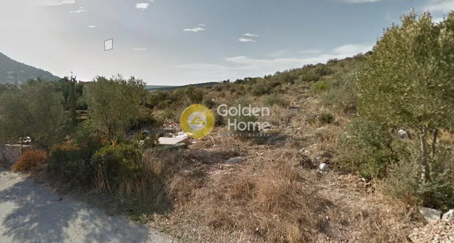Οικόπεδο 20590τ.μ.  - 5