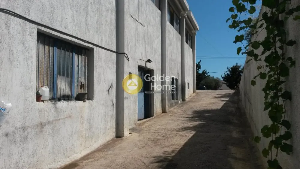 Άλλο.. 660τ.μ.  - 4
