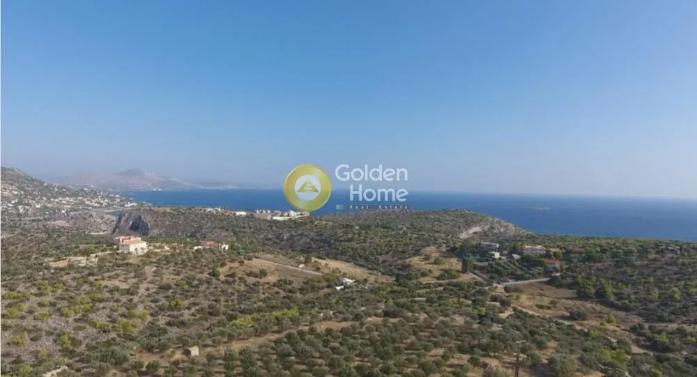 Detached house 950m²  - 5