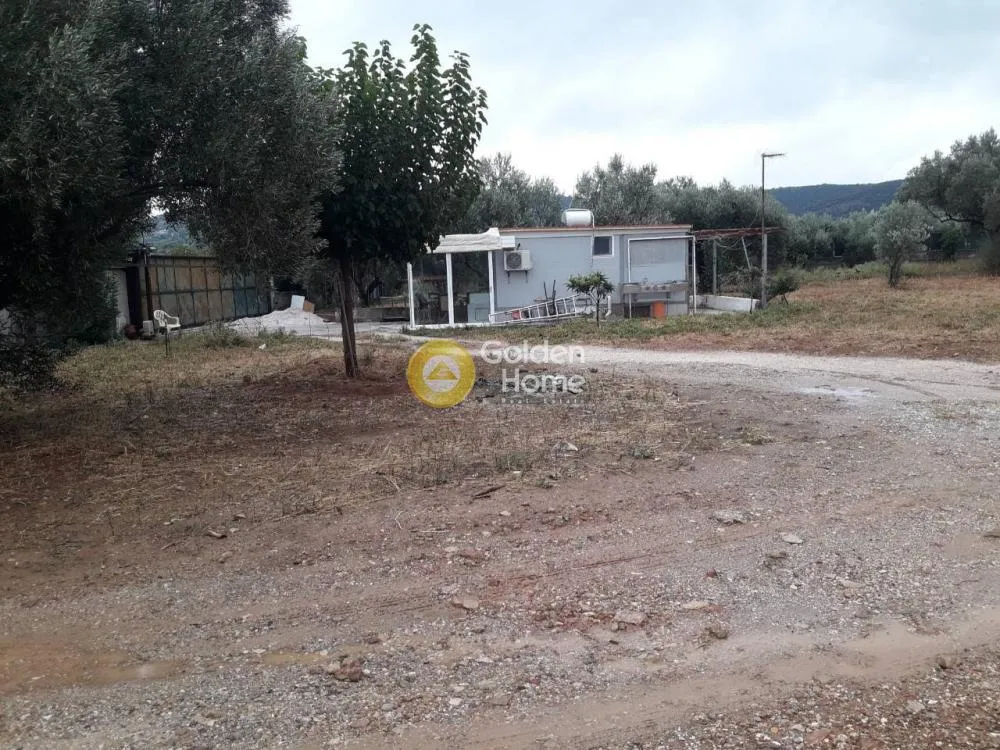 Άλλο.. 1400τ.μ.  - 5